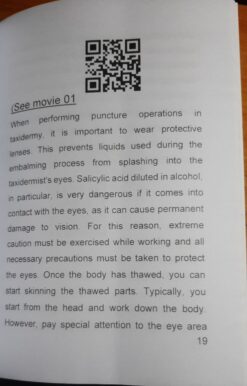 Alternative view of Taxidermy: mammals Embalming a fox