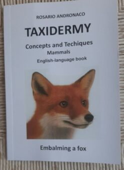 Taxidermy: mammals Embalming a fox