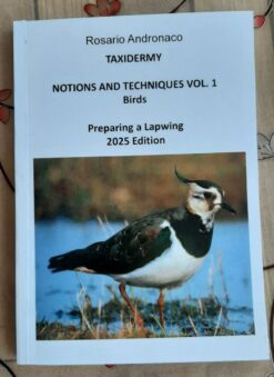 Taxidermy, notions and techniques vol1, birds, preparing a lapwing, 2025 edition