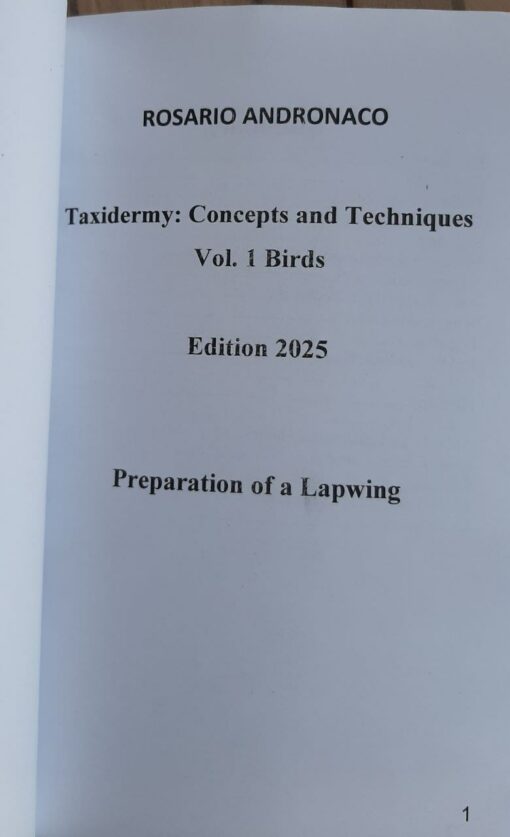 Taxidermy, notions and techniques vol1, birds, preparing a lapwing, 2025 edition - immagine 3