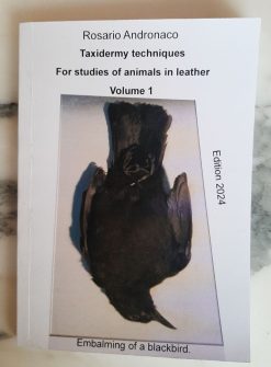 Taxidermy for studies of animals in leather vol 1 embalming of a blackbird