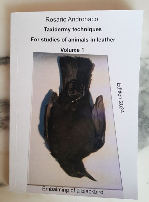 Taxidermy for studies of animals in leather vol 1 embalming of a blackbird