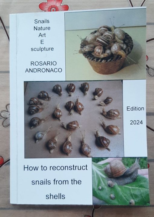Snails Nature art and sculpture how to reconstruct snails from shells Edition 2024