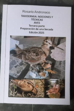 Nociones y técnicas de taxidermia aves Parte 3 Preparación de una becada edición 2025