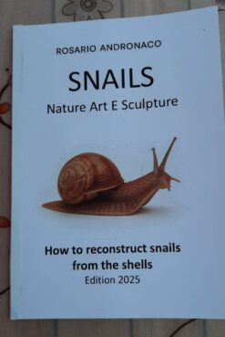 Snails Nature art and sculpture how to reconstruct snails from shells Edition 2025