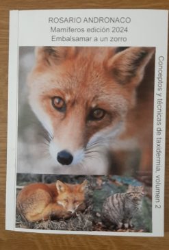 Taxidermia: vol. 2 Mamíferos Embalsamamiento de un zorro edición 2024