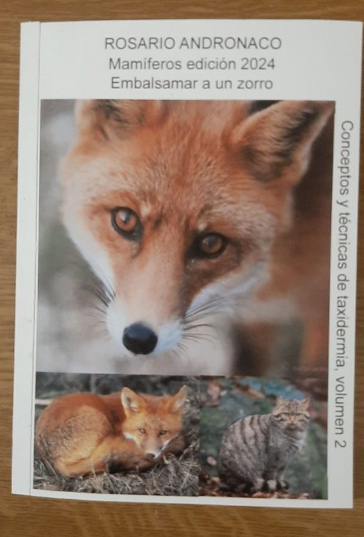 Taxidermia: vol. 2 Mamíferos Embalsamamiento de un zorro edición 2024