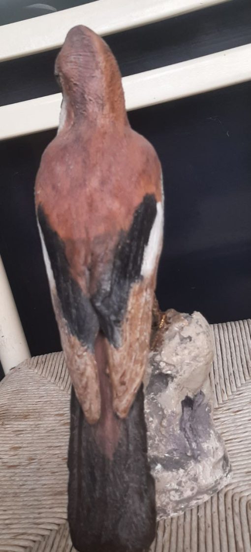 Scultura in dimensioni naturali di una ghiandaia - immagine 4