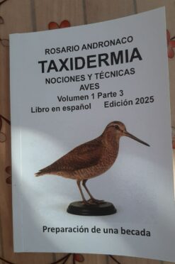 Nociones y técnicas de taxidermia aves Parte 3 Preparación de una becada edición 2025