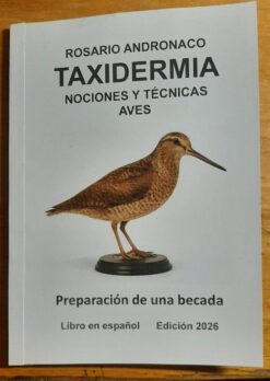 Nociones y técnicas de taxidermia aves Preparación de una becada