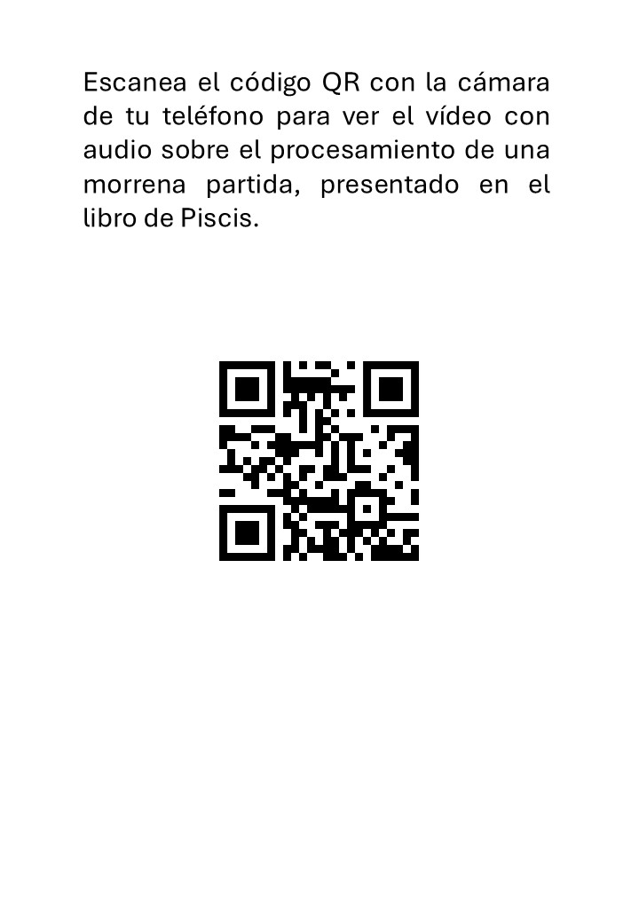 Taxidermia, conceptos y técnicas preparación por una morena - immagine 3