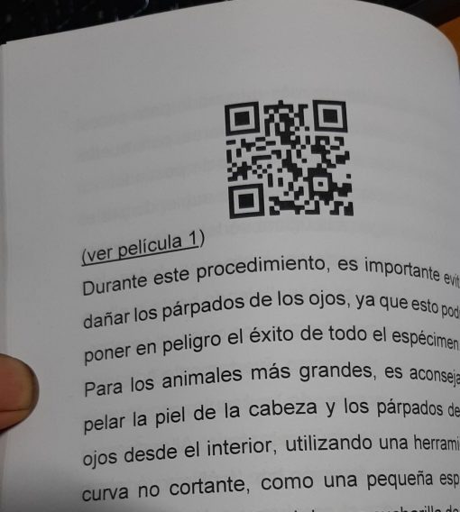 Taxidermia, conceptos y técnicas volumen 3 preparación de un pez morena edición 2024. - immagine 2