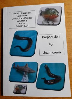 Taxidermia, conceptos y técnicas volumen 3 preparación de un pez morena edición 2024.