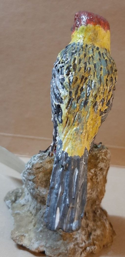 Zigolo testa aranciata in scultura di argilla - immagine 2