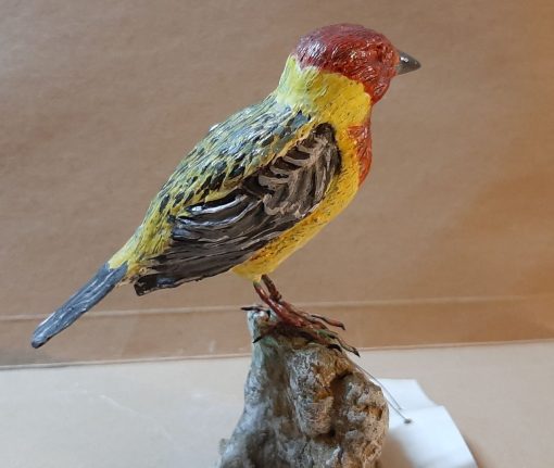 Zigolo testa aranciata in scultura di argilla - immagine 4