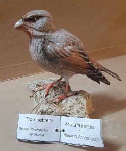 Trombettiere in scultura di argilla