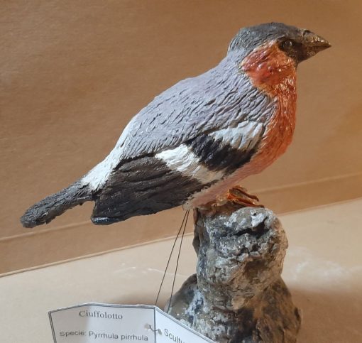 Ciuffolotto in scultura di argilla - immagine 2
