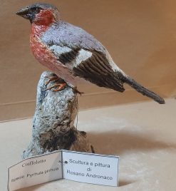 Ciuffolotto in scultura di argilla