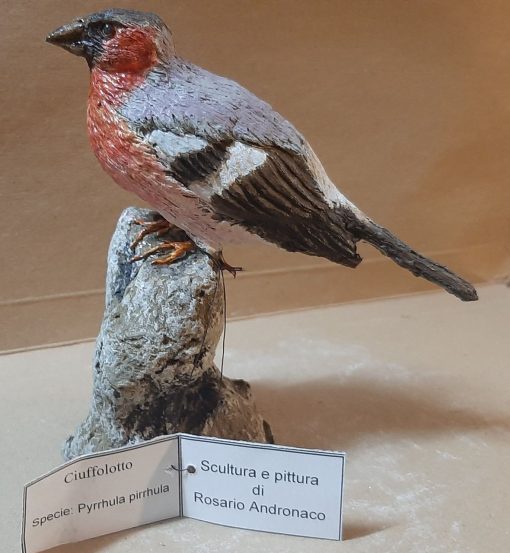 Ciuffolotto in scultura di argilla