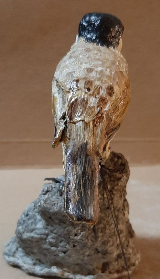 Cincia bigia in scultura di argilla - immagine 4