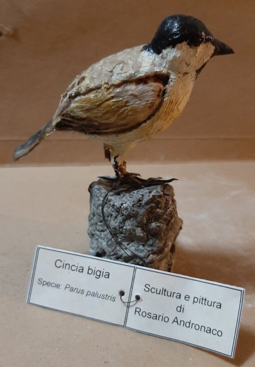 Cincia bigia in scultura di argilla - immagine 2