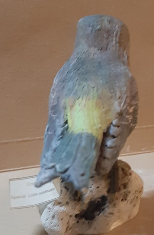 Crociere femmina in scultura di argilla - immagine 4