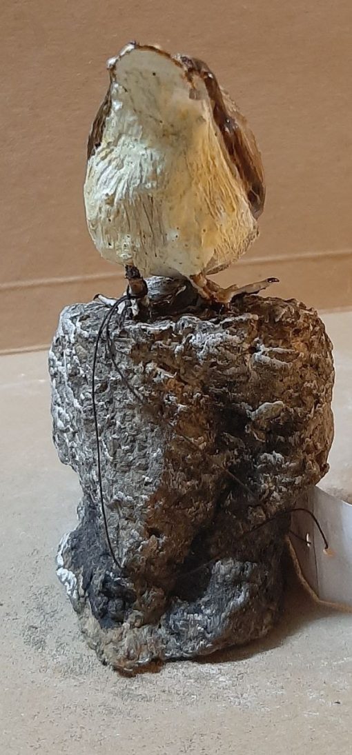 Picchio muratore corso in scultura di argilla - immagine 4