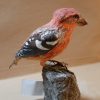 Crociere fasciato in scultura di argilla