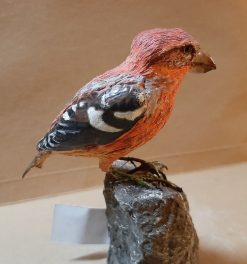 Crociere fasciato in scultura di argilla
