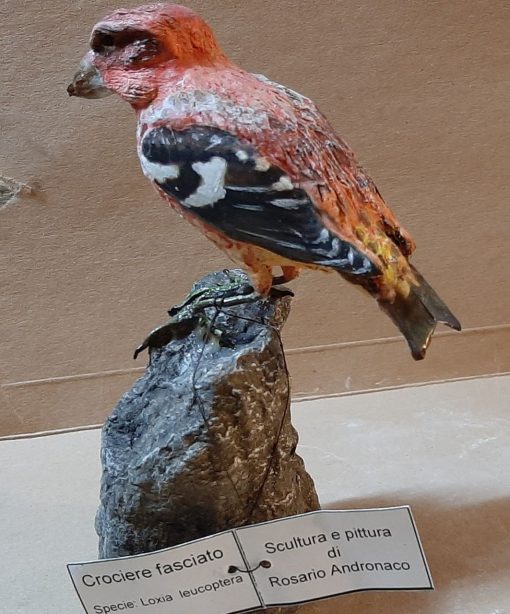 Crociere fasciato in scultura di argilla - immagine 2