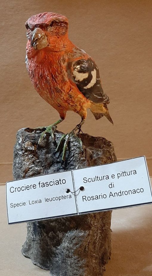 Crociere fasciato in scultura di argilla - immagine 3