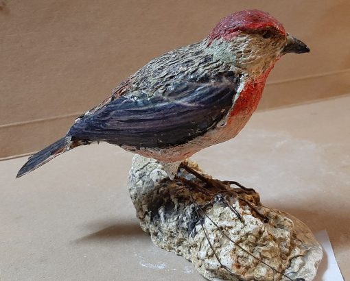 Ciuffolotto scarlatto in scultura di argilla - immagine 2
