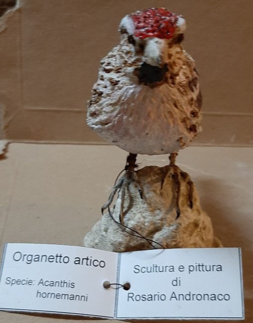 Organetto artico in scultura di argilla - immagine 3