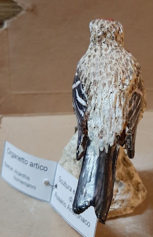 Organetto artico in scultura di argilla - immagine 4