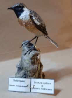 Saltimpalo in scultura di argilla