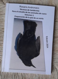 Preparaciòn de la piel de un mirlo in Spagnolo ed 2024