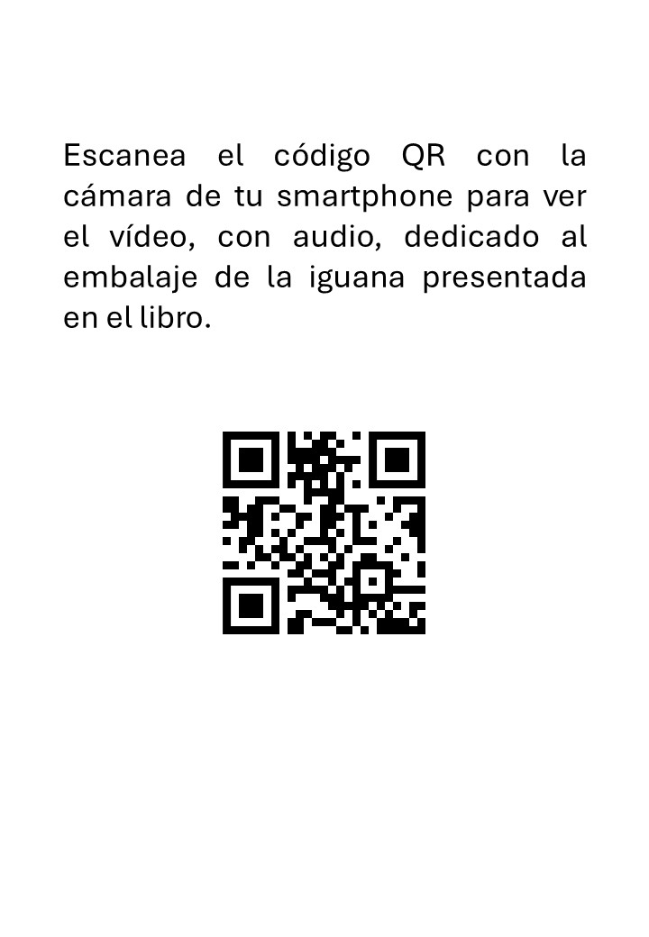 Taxidermia, Reptiles, Preparación de una Iguana - immagine 3