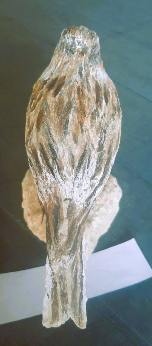 Allodola in scultura di argilla - immagine 4
