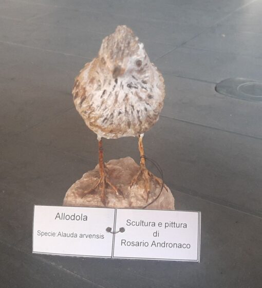 Allodola in scultura di argilla - immagine 3