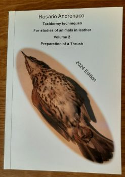 Taxidermia estudios sobre animales en cuero, relleno de un zorzal ed. 2024