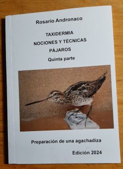 Taxidermia de aves parte 5 Preparación de una agachadiza