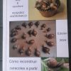 Caracoles Arte y escultura de la naturaleza cómo reconstruir caracoles a partir de conchas Edición 2024
