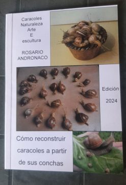 Caracoles Arte y escultura de la naturaleza cómo reconstruir caracoles a partir de conchas Edición 2024