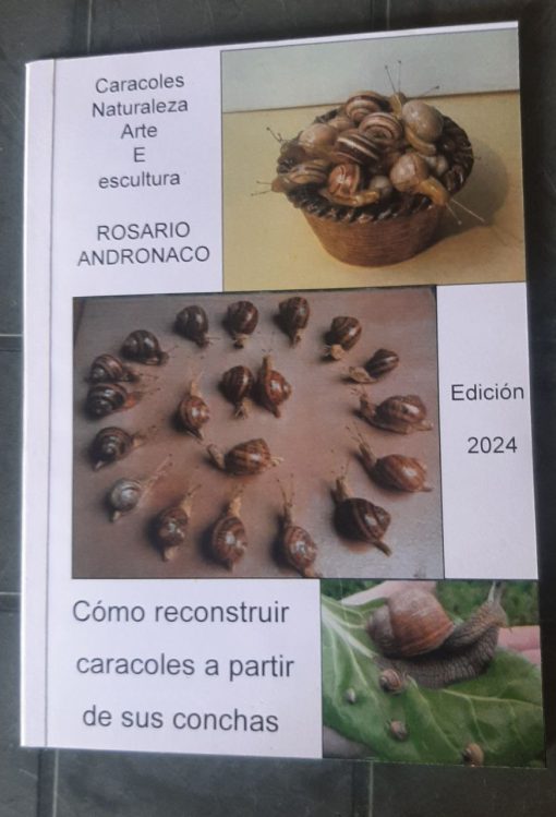 Caracoles Arte y escultura de la naturaleza cómo reconstruir caracoles a partir de conchas Edición 2024