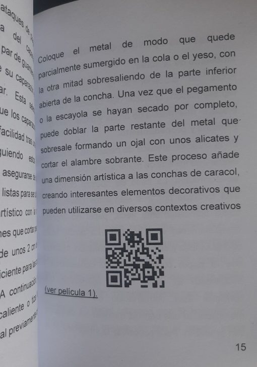 Caracoles Arte y escultura de la naturaleza cómo reconstruir caracoles a partir de conchas Edición 2024 - immagine 2