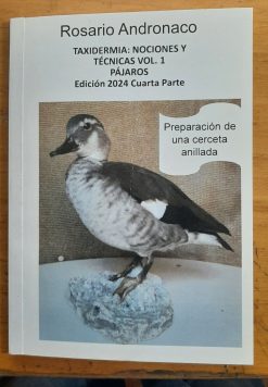 Conceptos y técnicas de taxidermia vol 1 aves edición 2024 cuarta parte Preparación de una cerceta pardilla