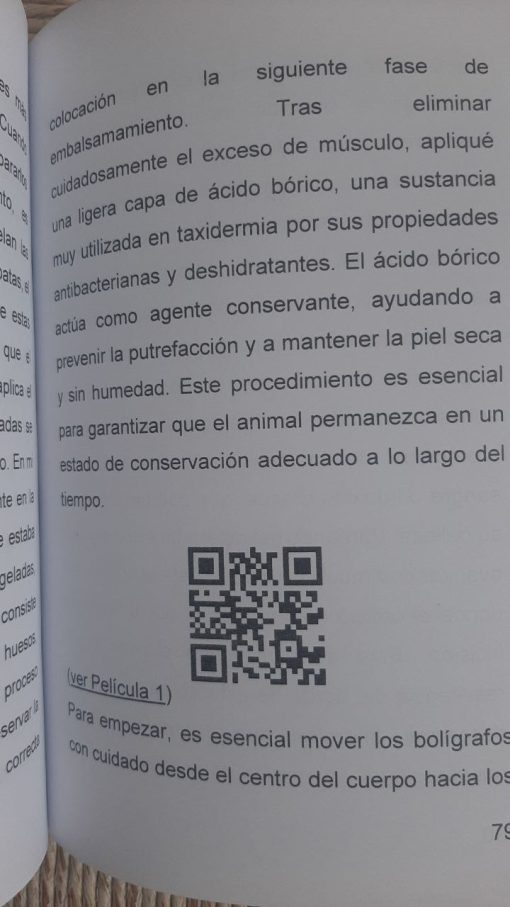 Preparación taxidérmica de un pato silbón (Edición 2024) - immagine 2