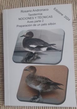 Preparación taxidérmica de un pato silbón (Edición 2024)