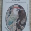 De la taxidermia a la escultura. Escultura de un pájaro carpintero verde ed 2024