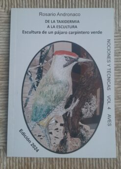 De la taxidermia a la escultura. Escultura de un pájaro carpintero verde ed 2024